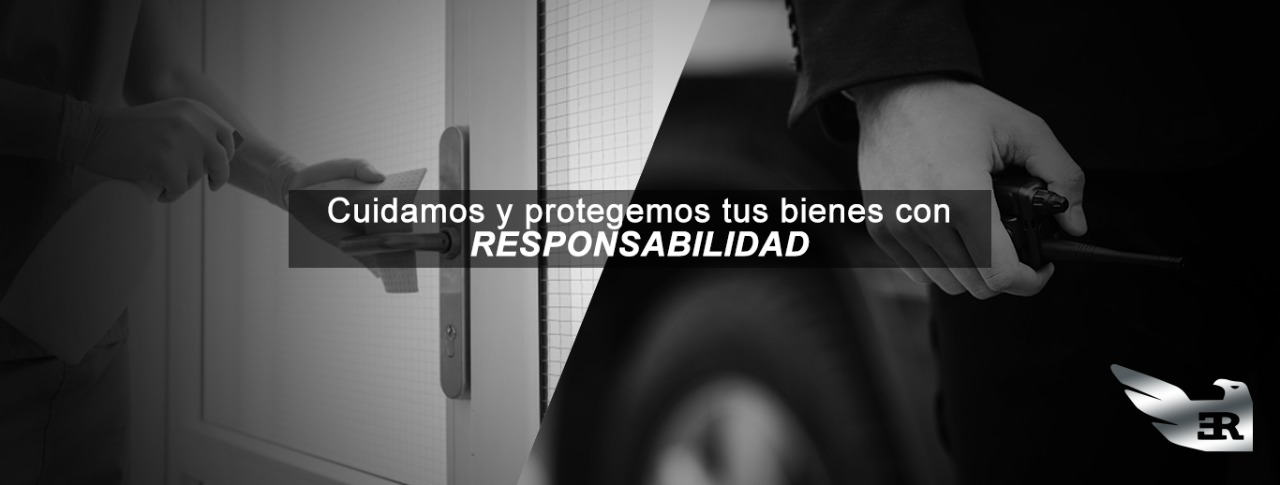 Limpieza profesional
